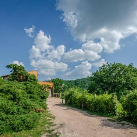 Gite Du Mont Plaisir Villa Chouvigny Esterno foto